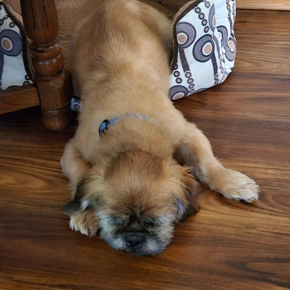 Meet your Posher, Tyanne